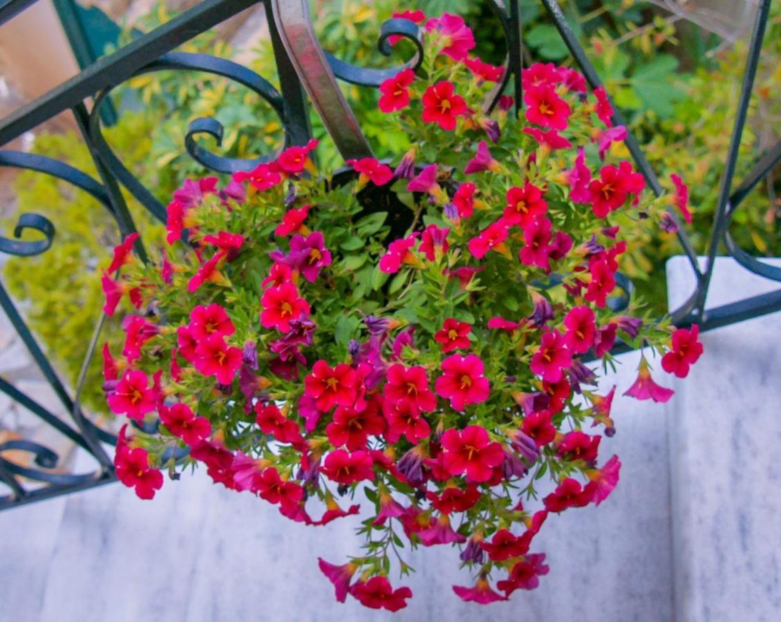 Flowers Studios Benitses  Bagian luar foto